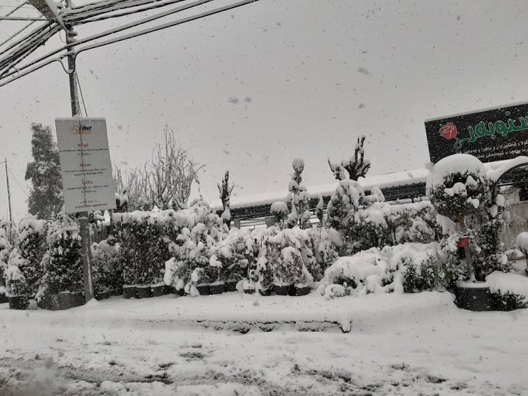 بالصور / الثلوج تغمر مركز مدينة دهوك  لاول مرة بعد غياب اعوام Index.php?action=dlattach;topic=965091